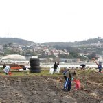 Extraen 11 toneladas de residuos desde Isla Rocuant en Talcahuano